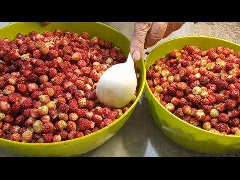 Видео: #Новинка#Как сварить варенье из полевой клубники ,, пятиминутка,заготовка клубники на зиму.