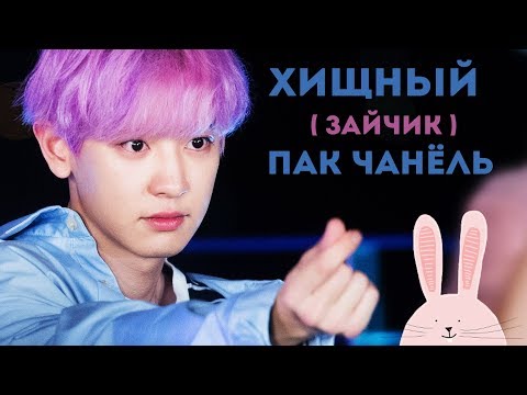 Видео: ХИЩНЫЙ (ЗАЙЧИК) ПАК ЧАНЁЛЬ! | CHANYEOL EXO | K-POP ARI RANG