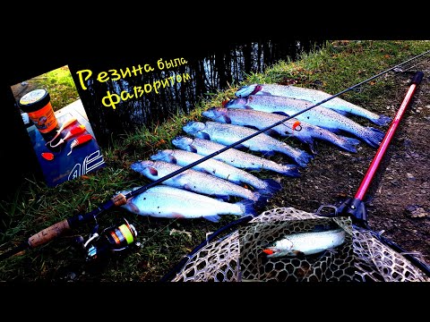 Видео: Удачная рыбалка на новом форелевом пруду!! Ловля форели на платнике.