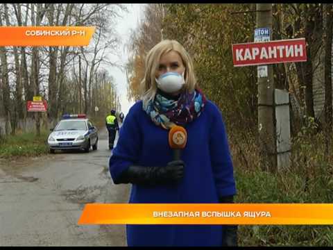 Видео: Внезапная вспышка ящура