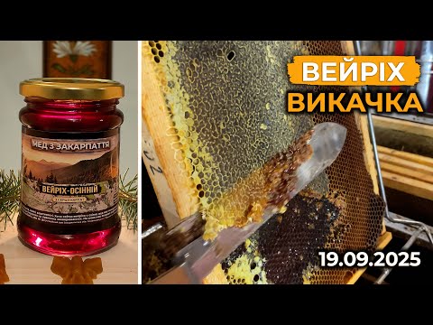Видео: Викачка Вейріх-Осінній 2025. Про користь меду і пасіку.