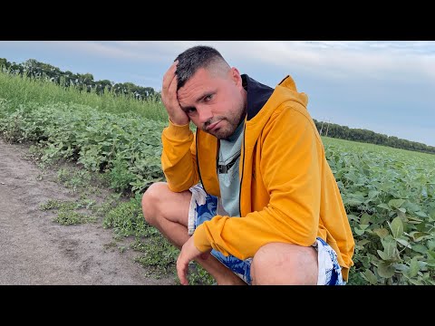 Видео: Що буде з соєю? Генератор ідей.