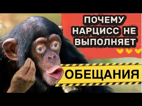 Видео: ПОЧЕМУ НАРЦИСС НЕ ВЫПОЛНЯЕТ ОБЕЩАНИЯ #нарцисс #психология #отношения #черныйпион