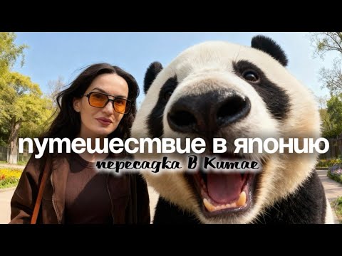 Видео: Япония глазами туриста, пересадка в Китае