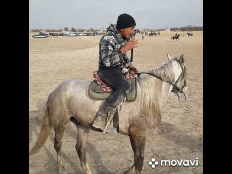 Видео: Талас ауданы Көктал ауылының палуандары 2019