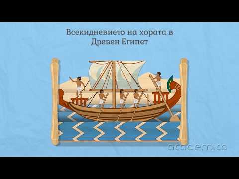 Видео: Всекидневието на хората в Древен Египет и Месопотамия - История 5 клас | academico