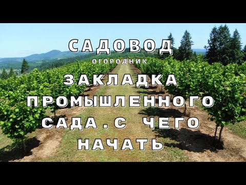 Видео: Закладка промышленного сада. С чего начать