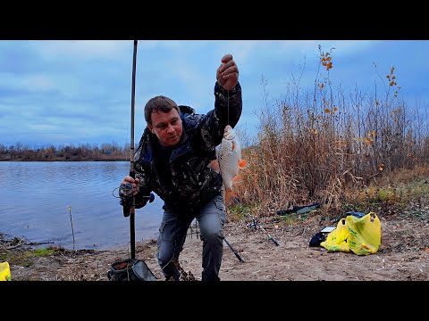 Видео: Ноябрь река Ахтуба рыбалка с ночёвкой. Один на Реке.