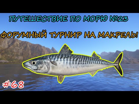 Видео: ПУТЕШЕСТВИЕ ПО МОРЮ #23 - ФАРМ СЕРЕБРА И ФОРУМНЫЙ ТУРНИР НА МАКРЕЛЬ + РОЗЫГРЫШИ НА TROVO! #shorts