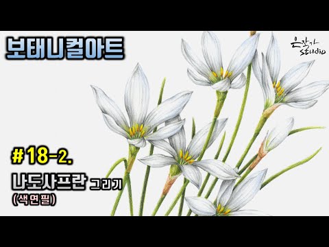 Видео: [Цветочный рисунок] № 18-2. Рисунок цветным карандашом White Zephyranthes Candida (Урок рисования)