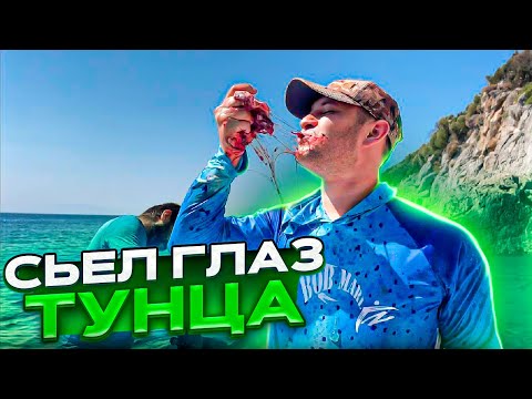 Видео: КушаЕМ Сырого Тунца в Море. Рыбалка в Турции