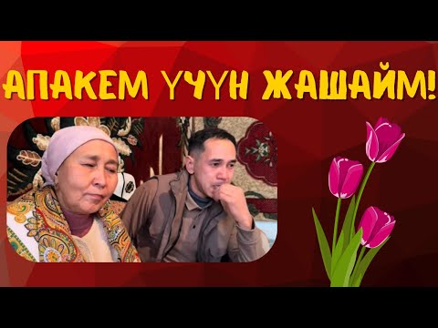 Видео: АПАСЫНА АЙТКАН ЭМЕС!