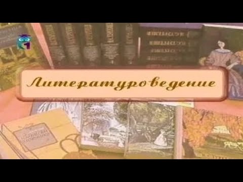 Видео: Литературоведение. Часть 1