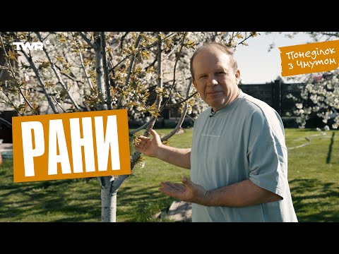 Видео: Понеділок з Чмутом | Рани