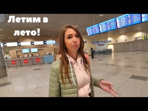 Видео: ЛЕТИМ В ЕГИПЕТ! Дьюти-фри в Домодедово/Задержка рейса/ Авиакомпания EgyptAir/Египет 2023