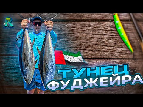 Видео: Вы не поверите как легко ловить Тунца в Эмиратах!