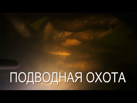 Видео: Подводная охота на Десне на сома и судака. Мое снаряжение для подводной охоты в холодное время года