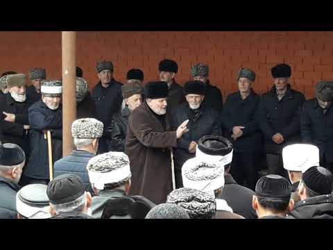 Видео: Майр-1ели