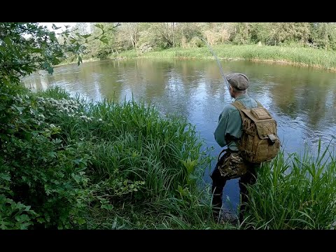 Видео: 2024.05.21 Голавлики в реке Анграпа.