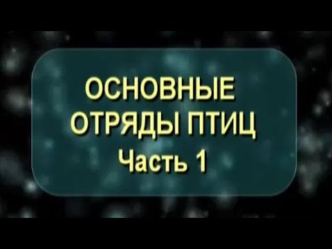 Видео: Основные отряды птиц. Часть 1. Биология