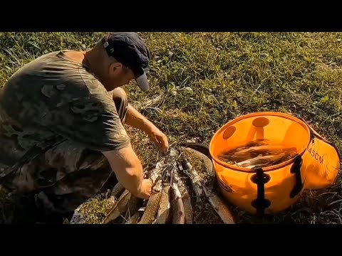 Видео: РЫБАЛКА В СЕКРЕТНЫХ МЕСТАХ АЛТАЙСКИЙ КРАЙ.