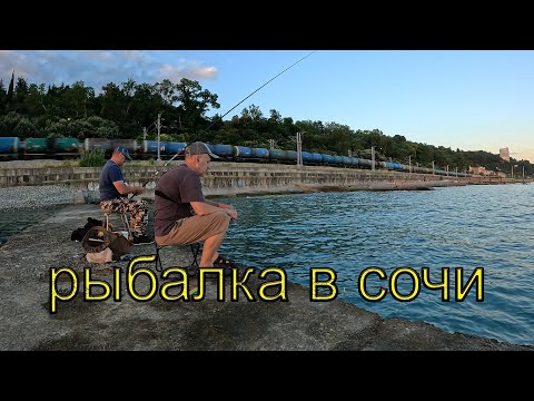 Видео: Без удочки на поплавок! Рыбалка в Сочи 22 июня 2024.