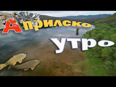 Видео: Шарани през април.Великден на яз. Ивайловград .Шарани и каракуди хвърлят хайвер през пролетта.