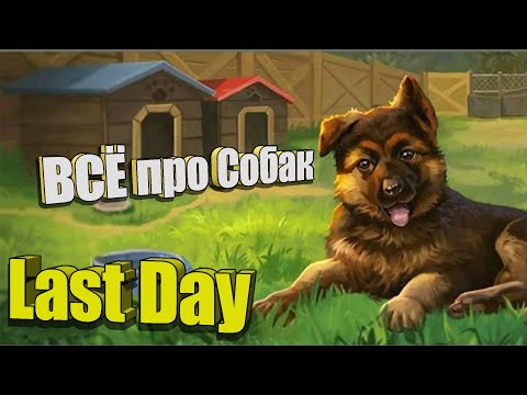 Видео: Всё про собак / Last Day