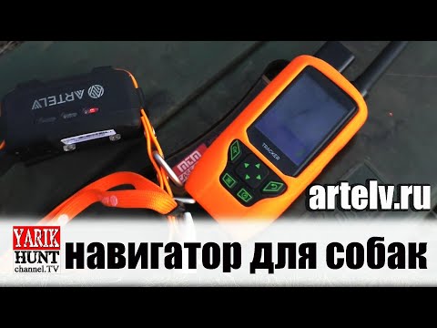 Видео: 🔴ТЕСТ НА ДАЛЬНОСТЬ GPS ошейником ARTELV TRACKER SOLO