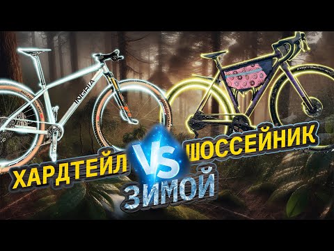 Видео: МАУНТИНБАЙК Против ШОССЕЙНОГО велосида | URBAN DOWNHILL Kosutnjak, Beograd