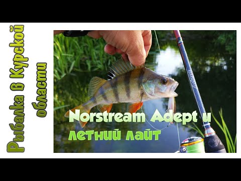 Видео: Norstream Adept, Megabass Pop-X и Kosadaka T-Minnow. Наконец-то оторвался по окуню