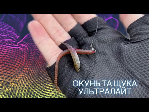 Видео: Щука та окунь на ультралайт/Pike and perch bfs fishing