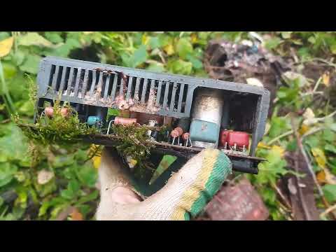 Видео: Осенний коп металла. Выехал на пару часов проверить одно место