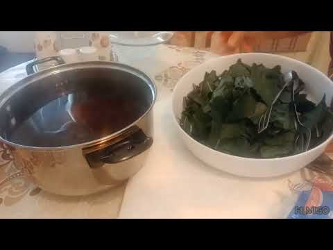 Видео: СИРОП И ЧАЙ ОТ СМОКИНОВИ  ЛИСТА 🍃  ДОМАШНА ЛИМОНАДА 🍋