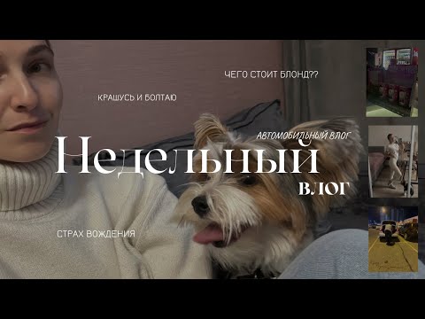 Видео: ВЛОГ: Чего стоит БЛОНД/ про страх вождения /влог с приветами/крашусь и болтаю