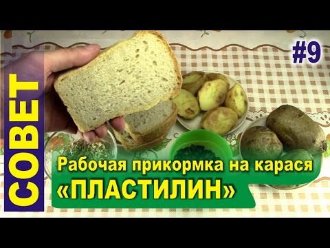 Видео: Рабочая уловистая прикормка на карася и карпа - Пластилин. Как сделать самому?