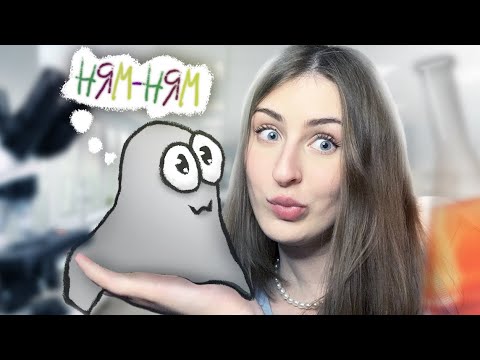Видео: Ты НЕ ЗАМЕТИШЬ как ОН тебя СЪЕСТ! | ASMR Съедобная планета