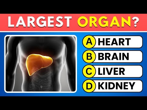 Видео: Вы наполовину доктор 👨‍⚕️ Если сможете набрать 10/30 в этой викторине о человеческом теле | #врем...