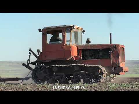 Видео: Трактор ДТ-75 с прицепным культиватором КПС-4 Культивация перед посевом подсолнечника Весна 2022