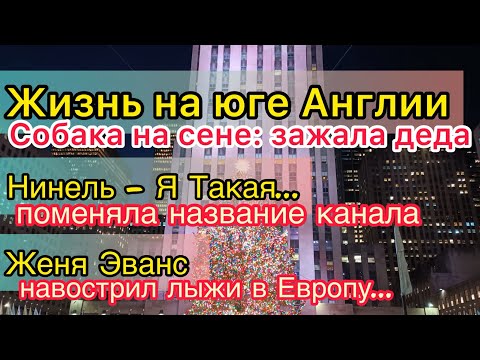 Видео: Жизнь на юге Англии: ни себе, ни людям! Нинель Я Такая больше НЕ Одна. Женя Эванс хочет в Испанию.