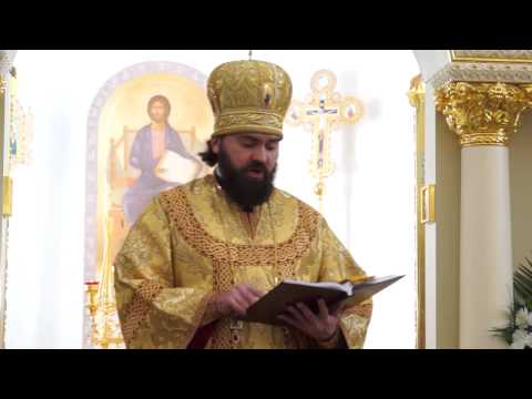 Видео: О семенах, почве и плодах