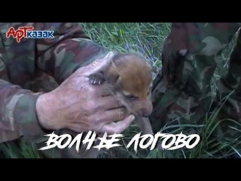 Видео: ВОЛЧЬЕ ЛОГОВО. УНИКАЛЬНЫЕ АРХИВНЫЕ КАДРЫ ОХОТНИКОВ. Отлов волчат на логовищах.