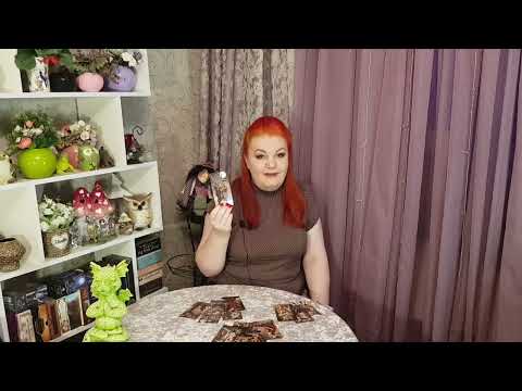 Видео: ЖУК И ЖАБА ГРЫЗУТСЯ НЕСЛАБО!