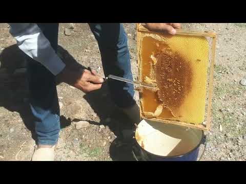 Видео: ТОЗА АСАЛНИ ФАРКИГА БОРИШ.КАНДАЙ АНИКЛАШ