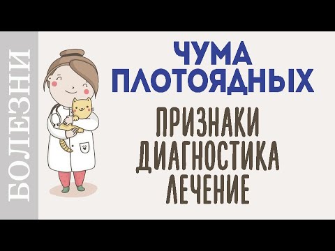 Видео: Чумка собак. Симптомы и домашняя диагностика чумы у собак.