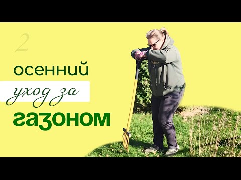 Видео: ОСЕННИЙ уход за ГАЗОНОМ