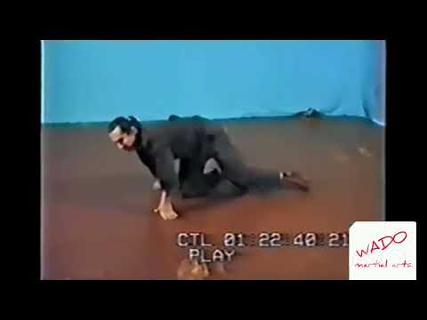 Видео: Сенчуков и его да цзе шу.