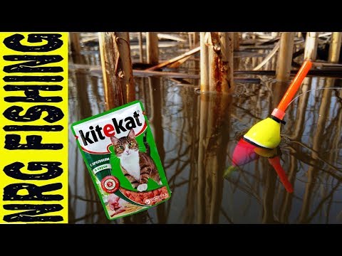 Видео: Ловля КРУПНОГО КАРАСЯ на Kitekat!!! | КТО БЫ МОГ ПОДУМАТЬ!?!?