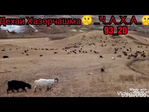 Видео: Дехаи Хазорчашма Н. рашт ЧАХА 93_20