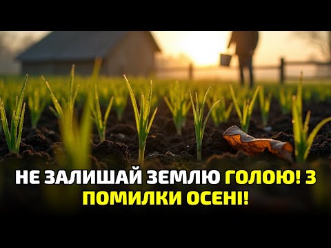 Видео: Всі сіють, а ти — ні? 5 причин негайно посіяти сидерати після збору врожаю!
